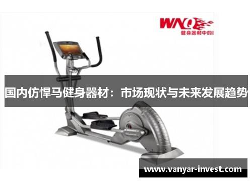国内仿悍马健身器材：市场现状与未来发展趋势